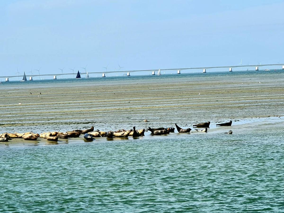De Corner Van Zeeland Met Jacuzzi シント・アナラント エクステリア 写真