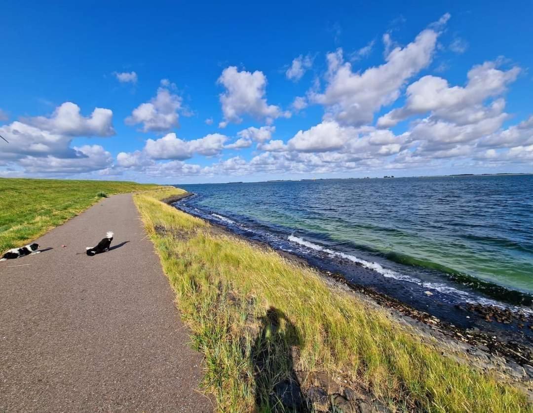 De Corner Van Zeeland Met Jacuzzi シント・アナラント エクステリア 写真